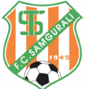 鲁斯塔维